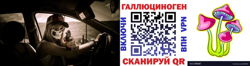 Купить закладки  Кизляр  Псилоцибиновые грибы мухоморы 